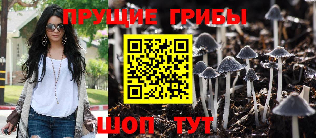 наркошоп  Вход с VPN  Псилоцибиновые грибы мицелий  Йошкар-Ола  Псилоцибиновые грибы Psilocybe 