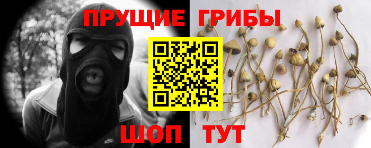 Псилоцибиновые грибы мухоморы Йошкар-Ола